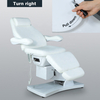 Professional Electric Massage Table Lash Beauty Facial Bed