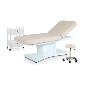Modern Electric Massage Table Couch Spa Beauty Facial Bed