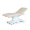 Heavy Duty Electric Stationary Adjustable Massage Table Couch Spa Facial Bed