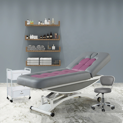 Electric Heavy Duty Massage Table Beauty Spa Facial Lash Bed for Sale